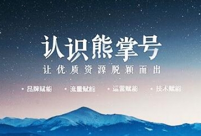 卡卡西科技建议所有武汉企业网站开通熊掌号
