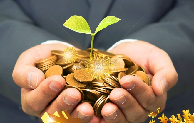 金融投资管理行业公司企业网站案例-武汉卡卡西科技有限公司案例作品