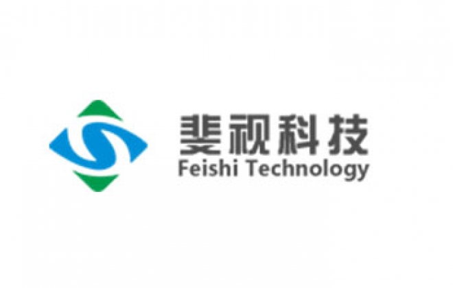 武汉斐视科技有限公司定制网站案例-武汉卡卡西科技有限公司案例作品