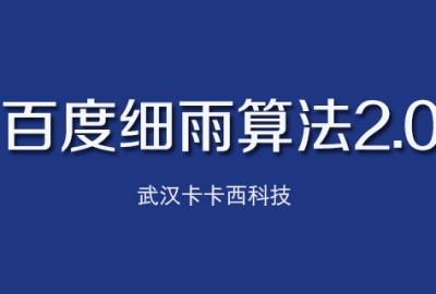 百度推出细雨算法2.0主要针对B2B领域低质内容
