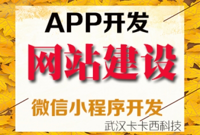 武汉企业做公司营销型网站页面布局设计思路