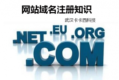 武汉网站建设公司告诉你做企业网站域名选择.com还是.cn好