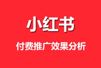 2021亲测小红书付费薯条推广效果数据分析