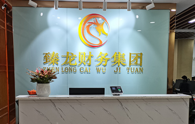 臻龙财务集团公司企业网站制作案例-武汉卡卡西科技有限公司案例作品
