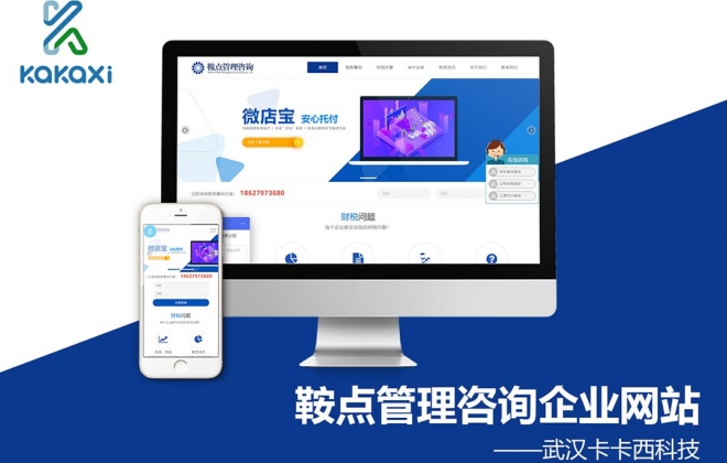 武汉鞍点管理咨询有限公司定制企业网站案例-武汉卡卡西科技有限公司案例作品