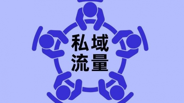论网站有固定粉丝和私域流量的重要性