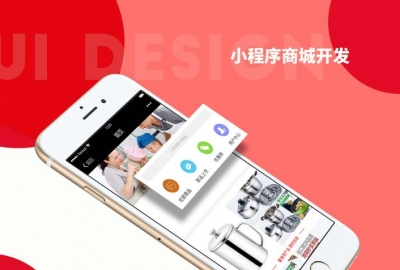 花600元做个商城微信小程序功能齐全界面精美