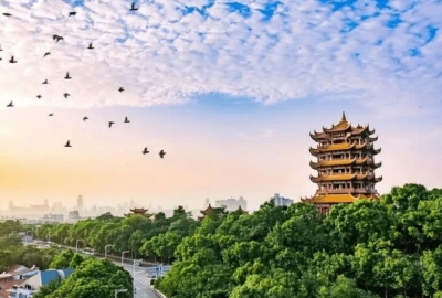 武汉app开发制作市场分析