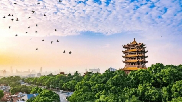 武汉app开发制作市场分析