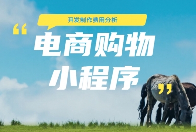 做个电商购物小程序需要多少钱？