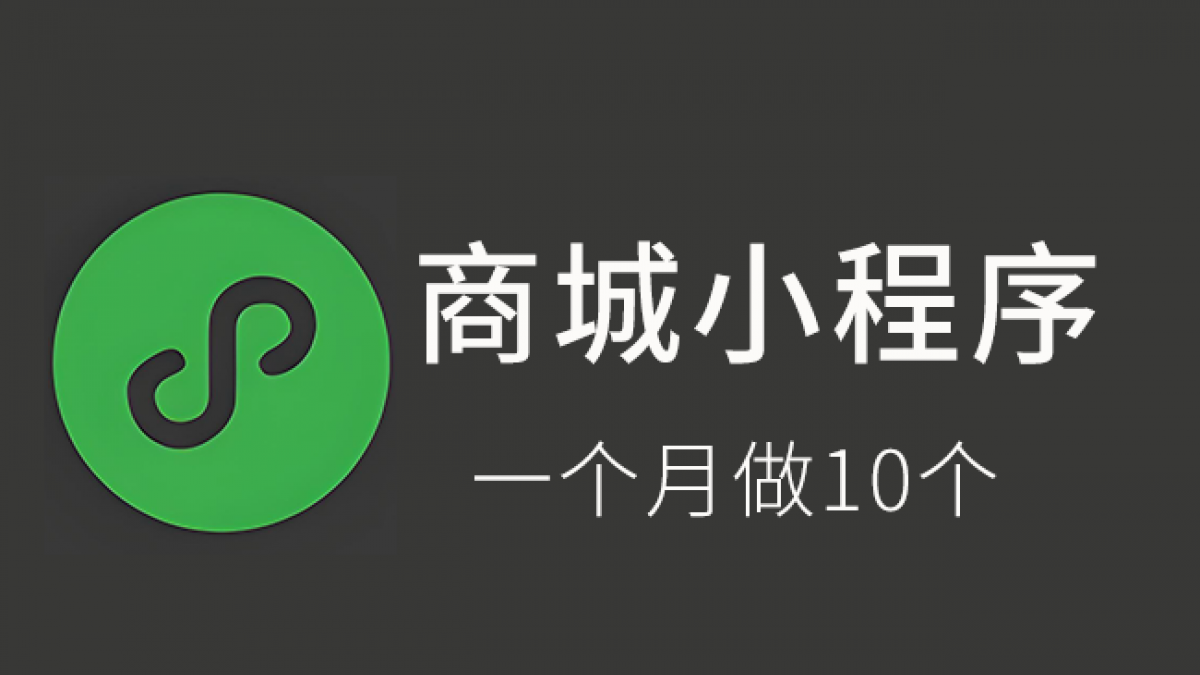 体验武汉软件开发公司一个月做10个商城小程序