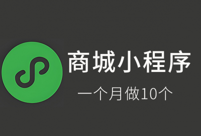 体验武汉软件开发公司一个月做10个商城小程序