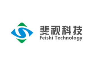 武汉斐视科技有限公司定制网站案例案例封面